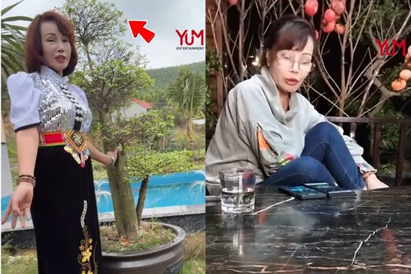 Cô Thu Sao đăng tuyển người mới khiến bạn trai lo sợ rối rít xin lỗi: ‘Anh ấy đã biết sai khi gh:e:n quá